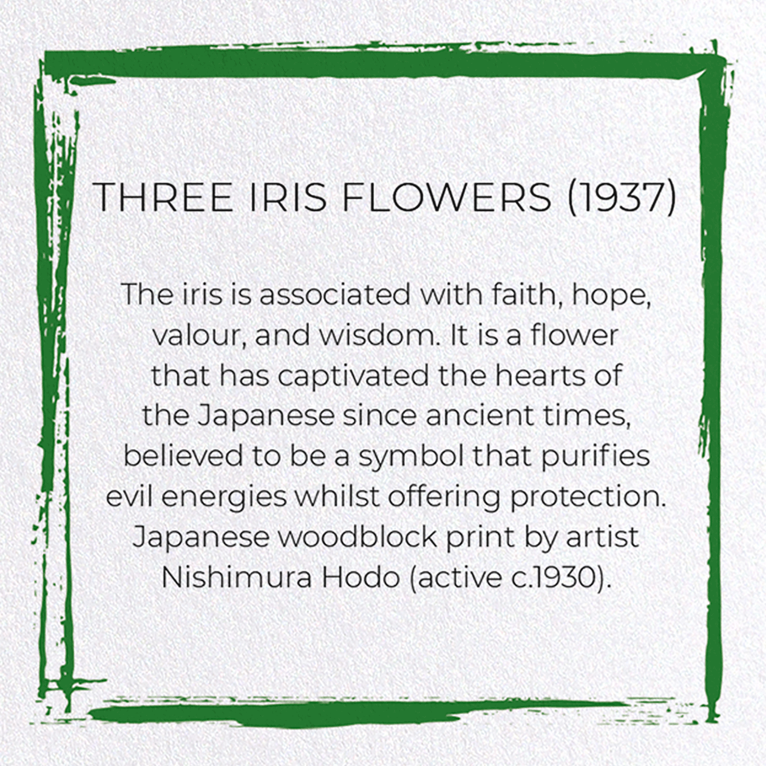 THREE IRIS FLOWERS (1937): Japanese Greeting Card
