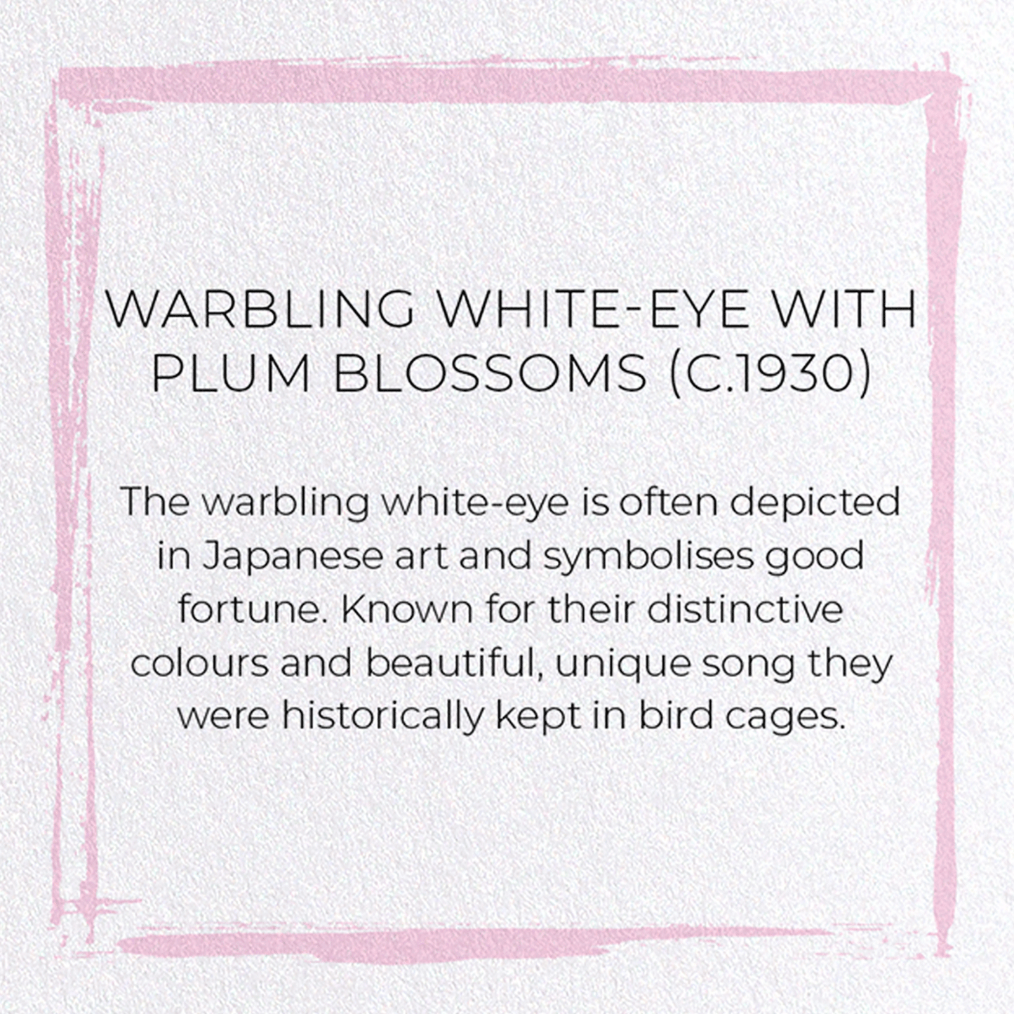 WARBLING WHITE-EYE WITH PLUM BLOSSOMS (C.1930): Japanese Greeting Card