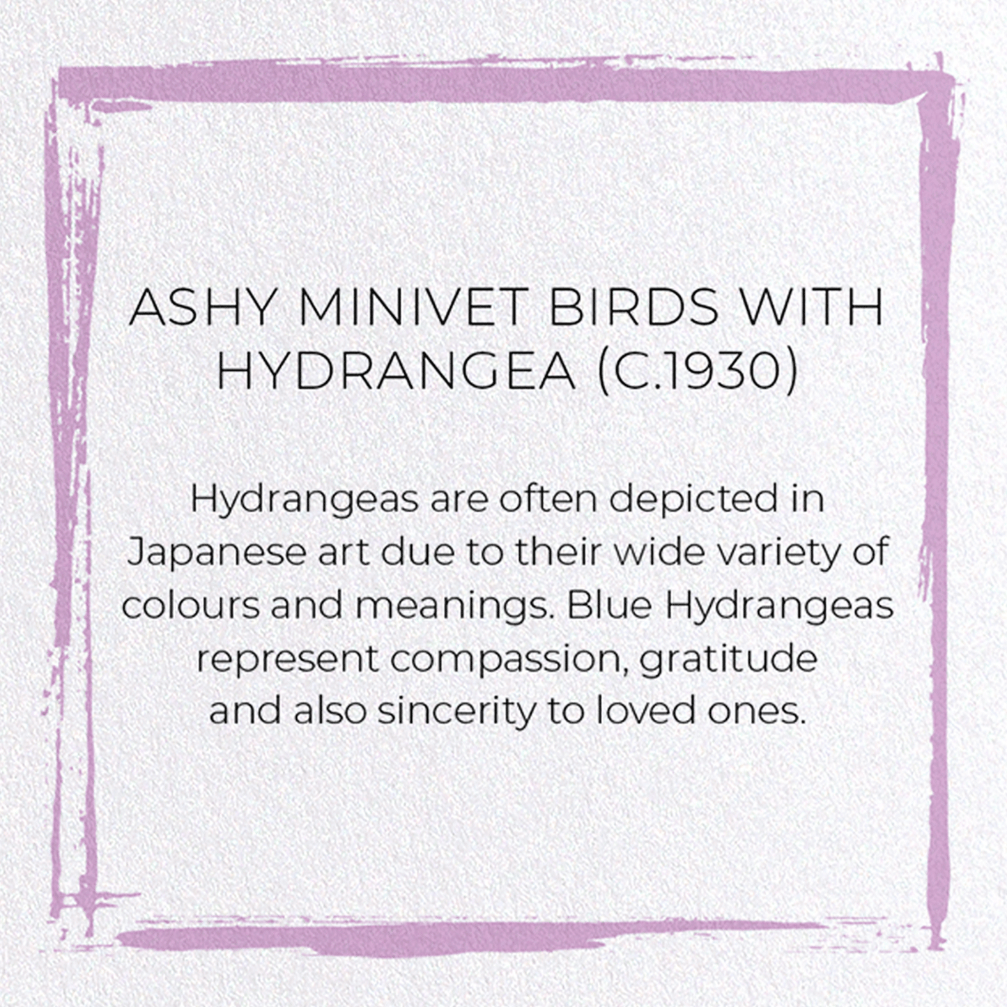 ASHY MINIVET BIRDS WITH HYDRANGEA (C.1930): Japanese Greeting Card