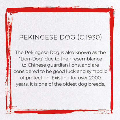 PEKINGESE DOG (C.1930): Japanese Greeting Card