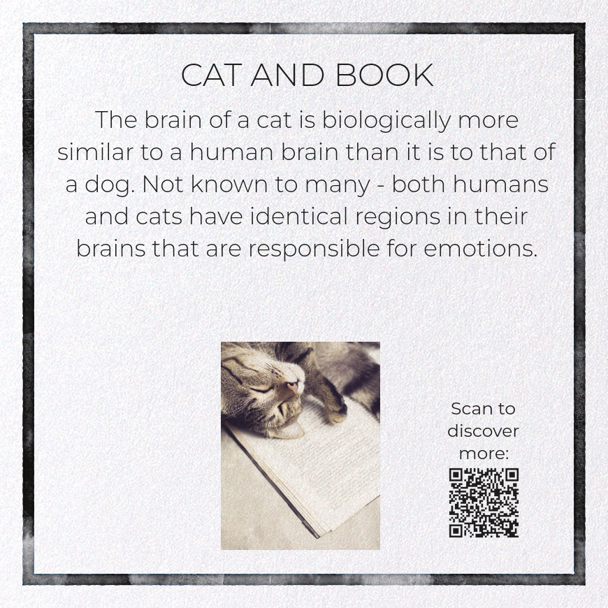 CAT AND BOOK: Photo Greeting Card
