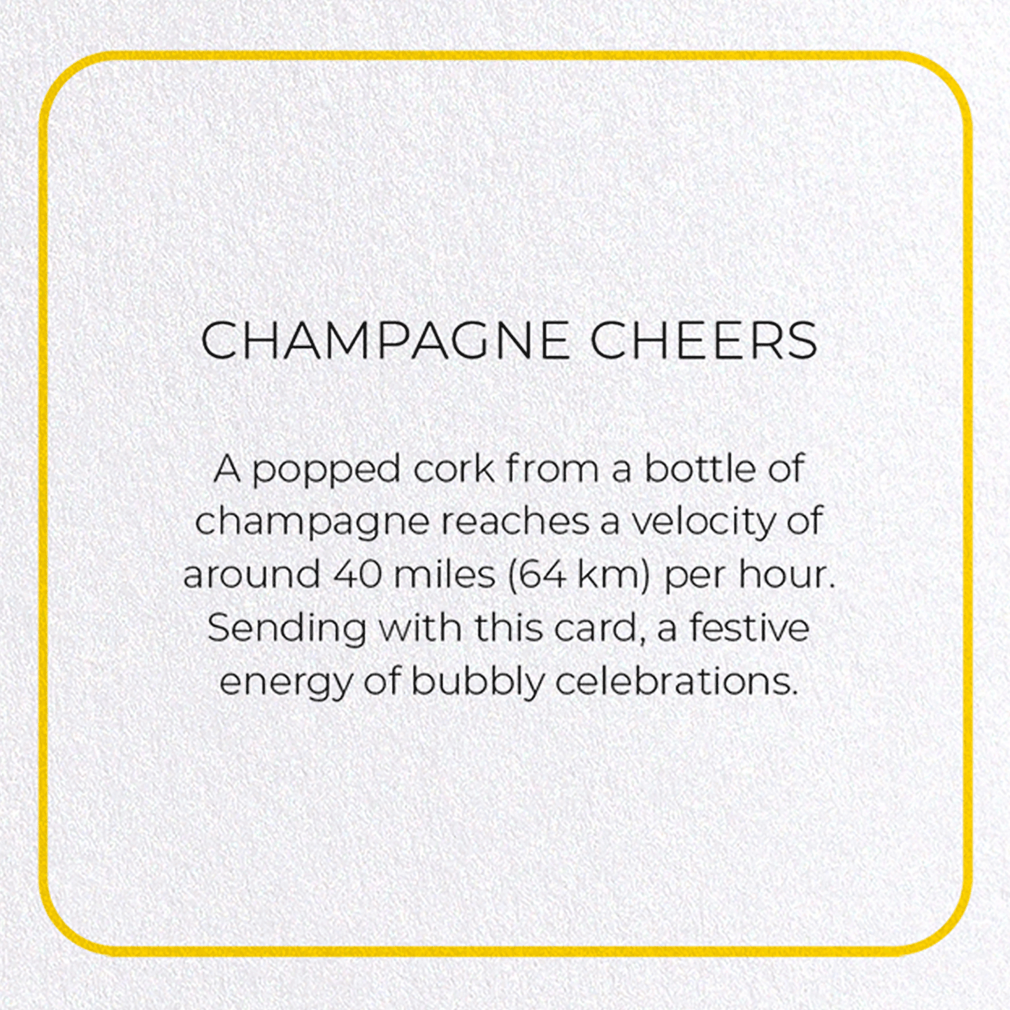 CHAMPAGNE CHEERS: Photo Greeting Card