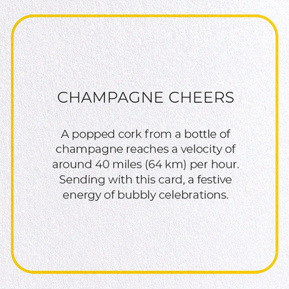 CHAMPAGNE CHEERS: Photo Greeting Card