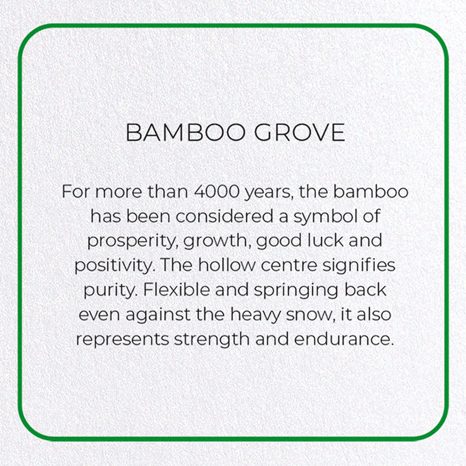 BAMBOO GROVE: Photo Greeting Card