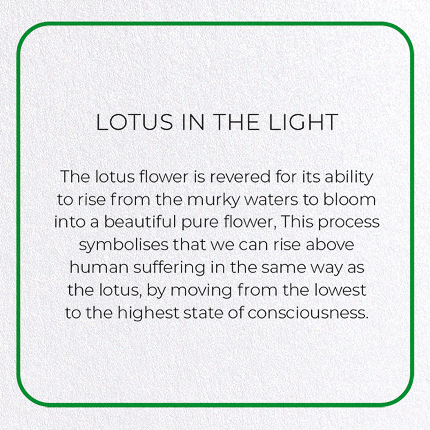 LOTUS IN THE LIGHT: Photo Greeting Card