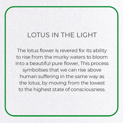 LOTUS IN THE LIGHT: Photo Greeting Card