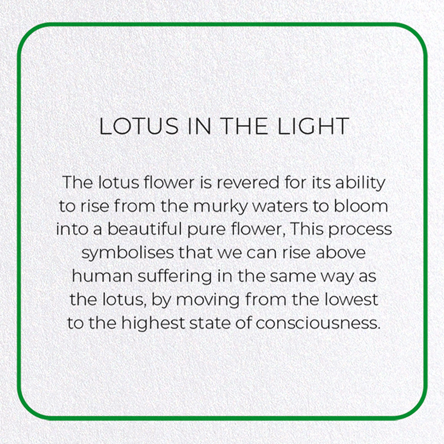 LOTUS IN THE LIGHT: Photo Greeting Card