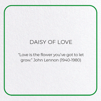DAISY OF LOVE: Photo Greeting Card