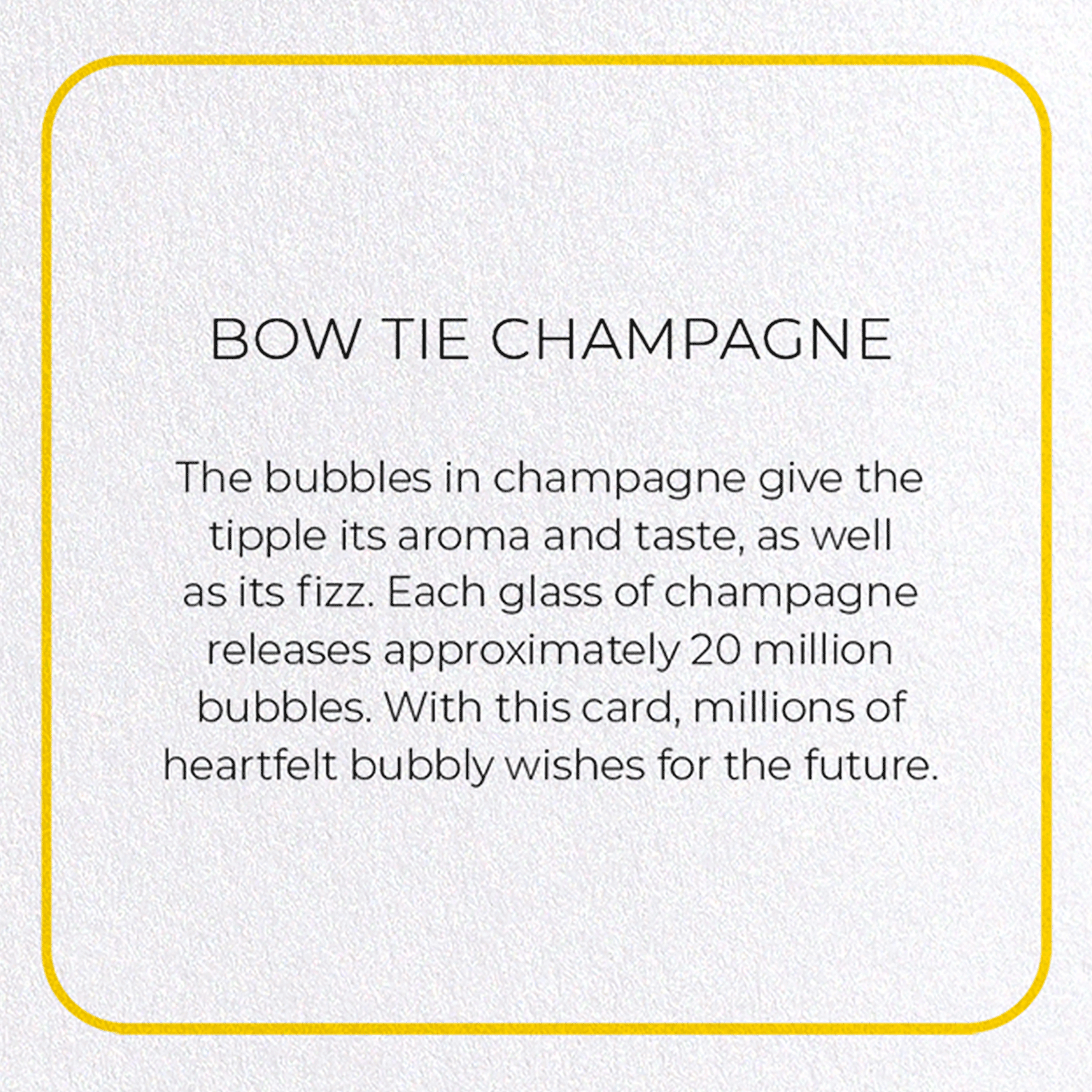 BOW TIE CHAMPAGNE: Photo Greeting Card