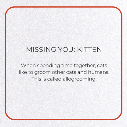 MISSING YOU: KITTEN: Photo Greeting Card