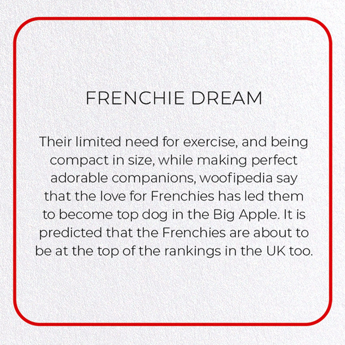FRENCHIE DREAM: Photo Greeting Card