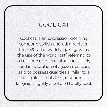 COOL CAT: Photo Greeting Card