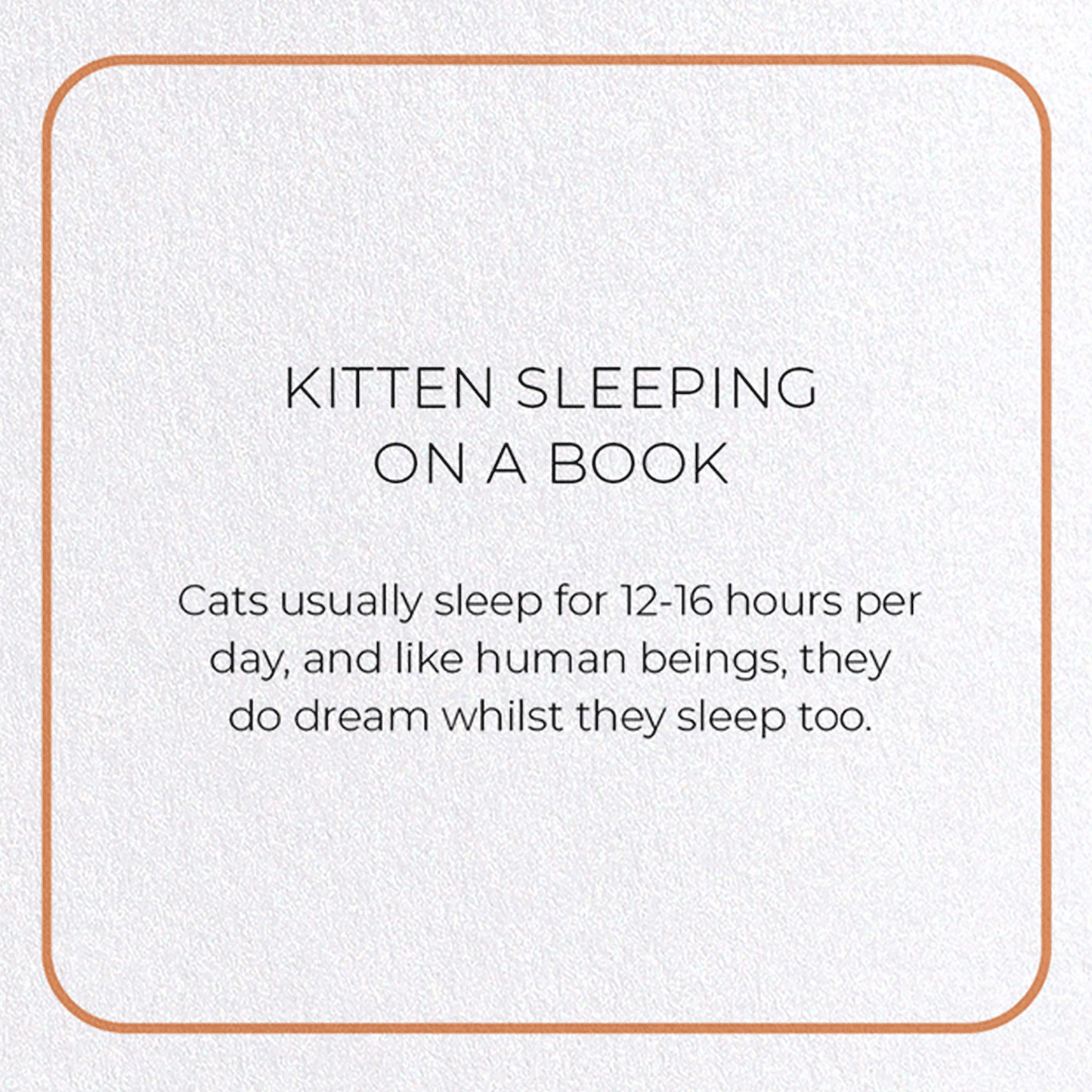 KITTEN SLEEPING ON A BOOK: Photo Greeting Card