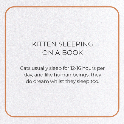 KITTEN SLEEPING ON A BOOK: Photo Greeting Card