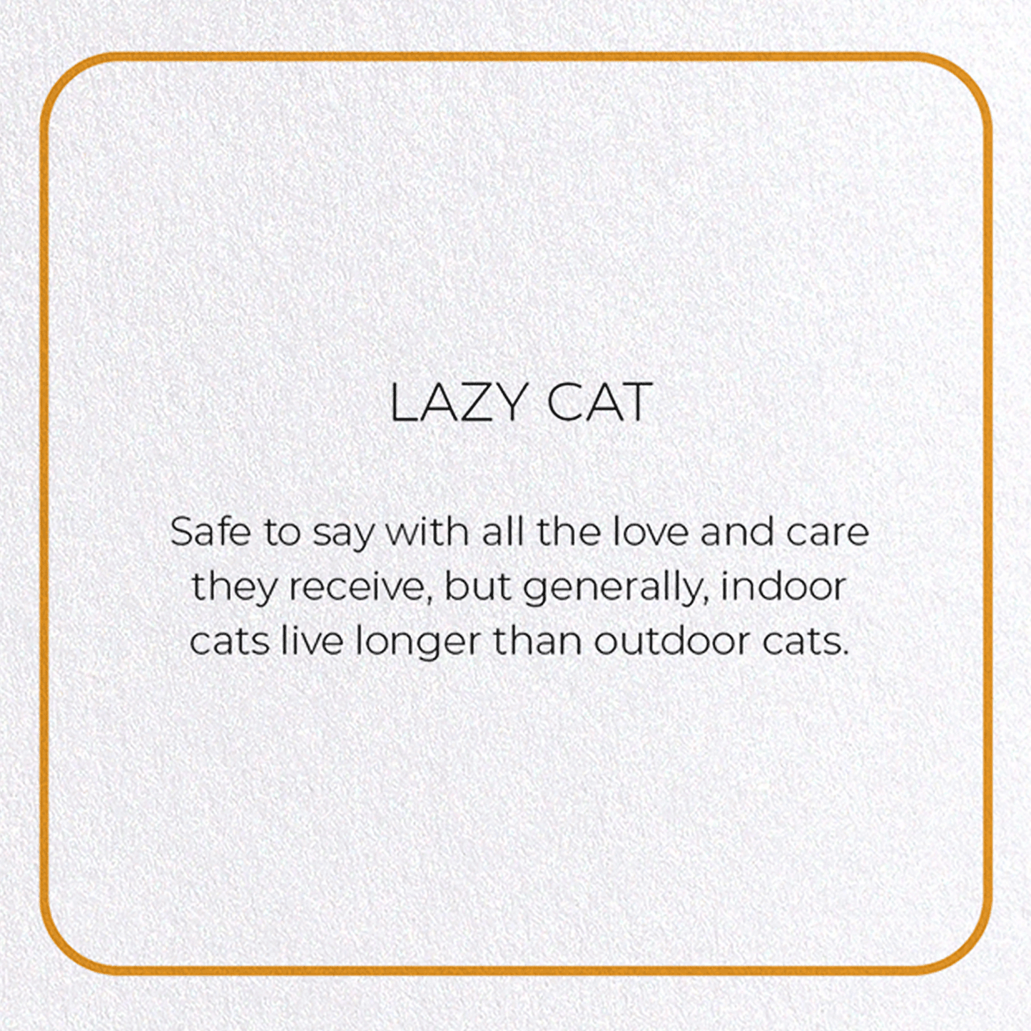 LAZY CAT: Photo Greeting Card
