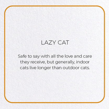 LAZY CAT: Photo Greeting Card