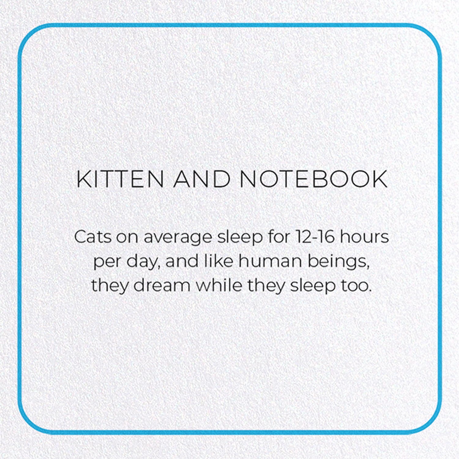 KITTEN AND NOTEBOOK: Photo Greeting Card