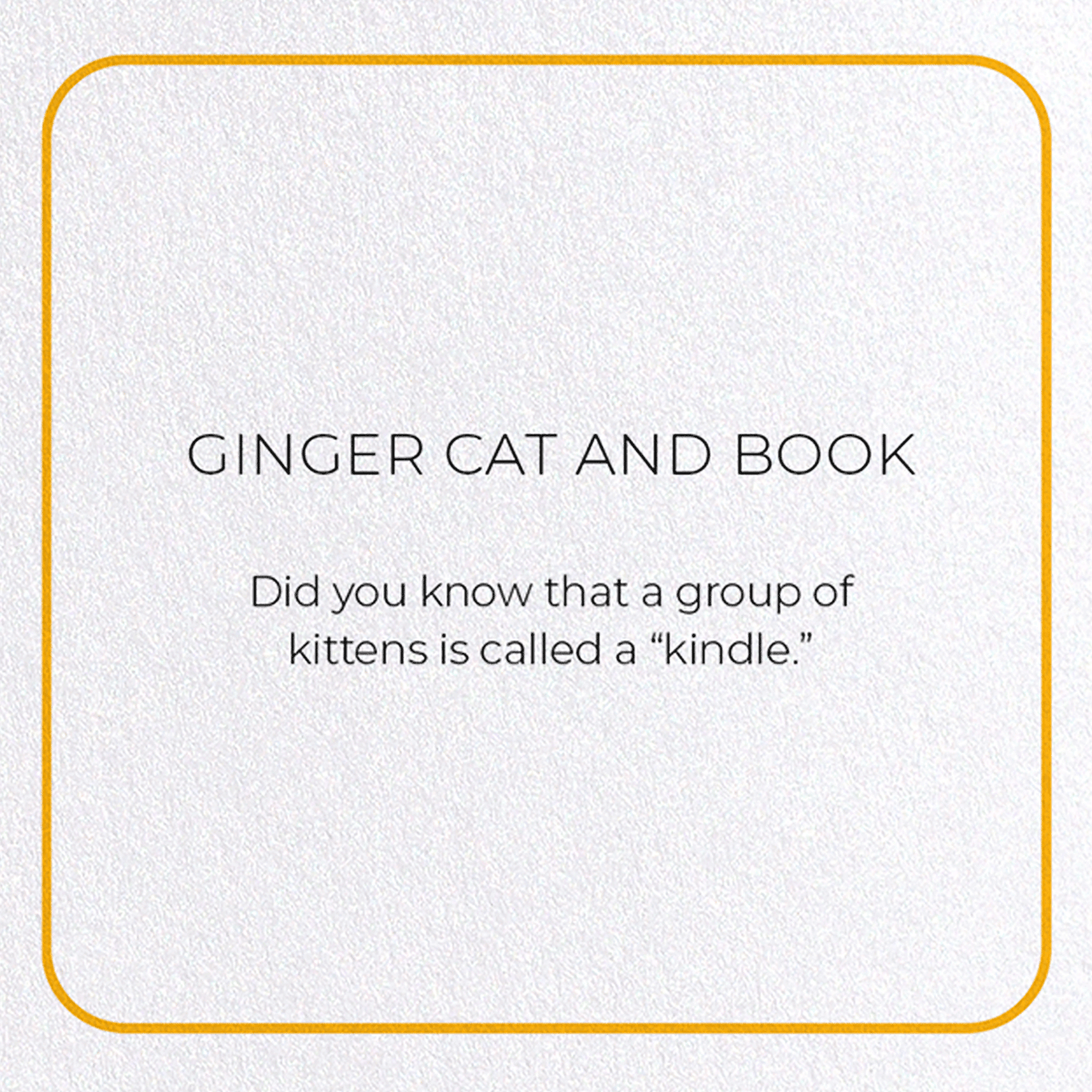 GINGER CAT AND BOOK: Photo Greeting Card