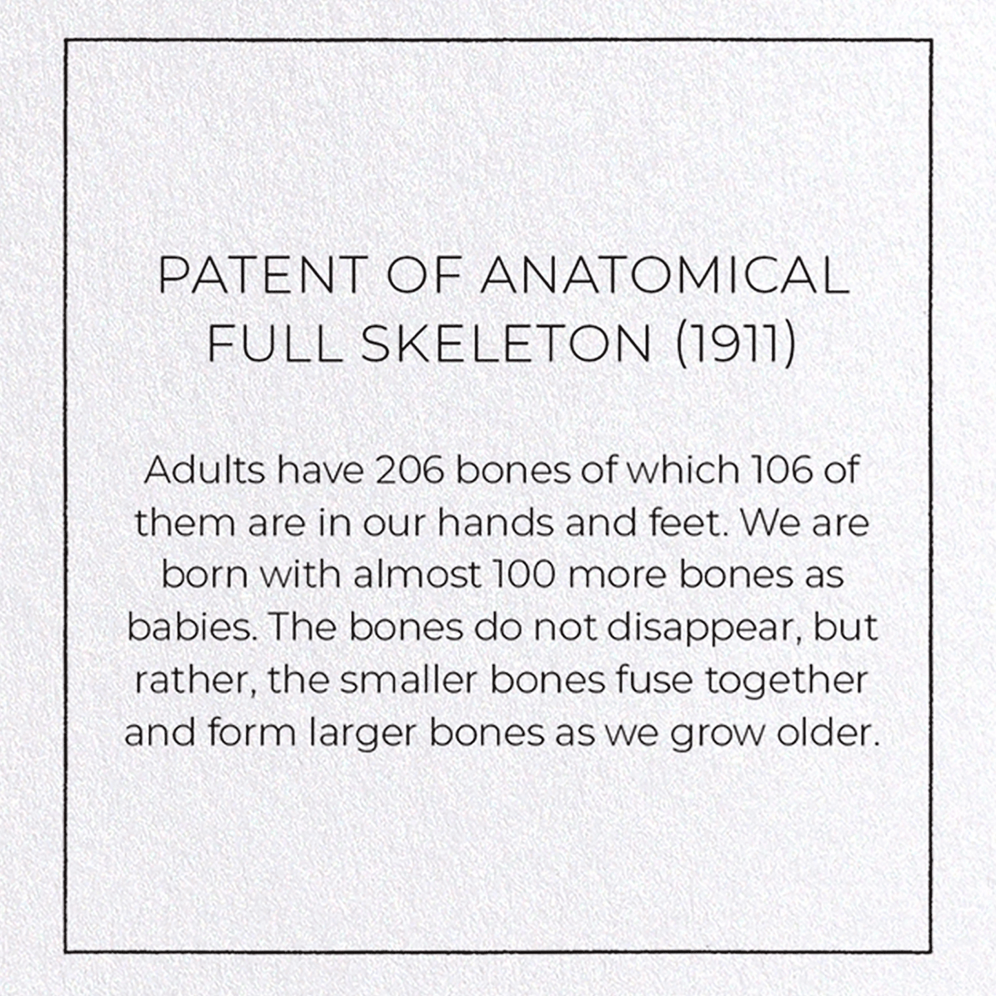 PATENT OF ANATOMICAL FULL SKELETON (1911): Patent Greeting Card