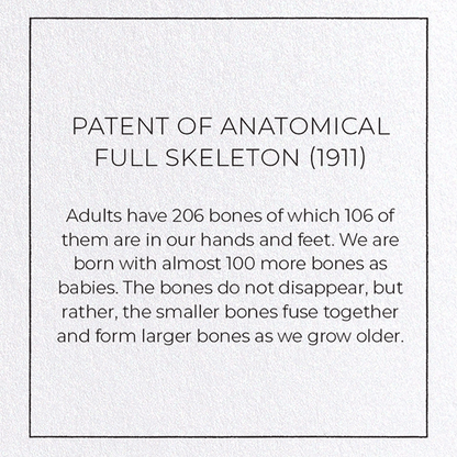 PATENT OF ANATOMICAL FULL SKELETON (1911): Patent Greeting Card