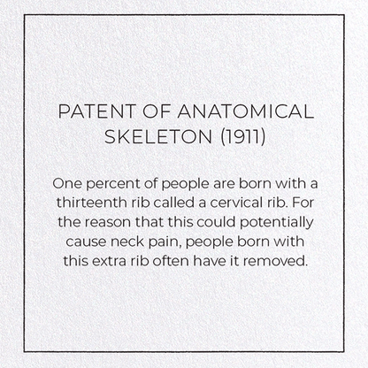 PATENT OF ANATOMICAL SKELETON (1911): Patent Greeting Card