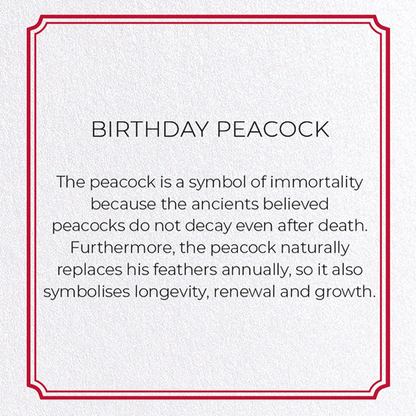 BIRTHDAY PEACOCK: Vintage Greeting Card