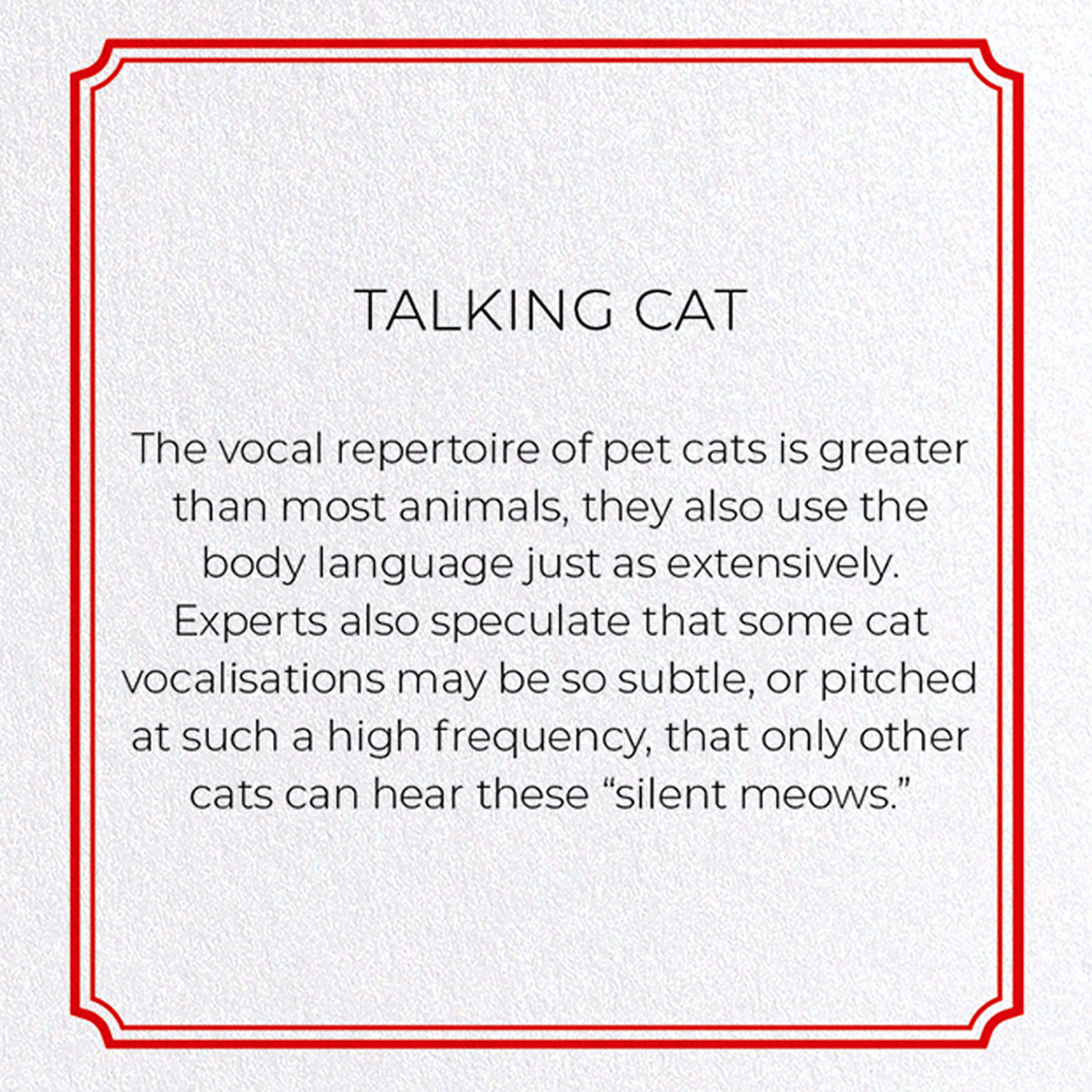 TALKING CAT: Vintage Greeting Card