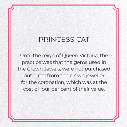 PRINCESS CAT: Vintage Greeting Card