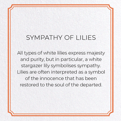 SYMPATHY OF LILIES: Vintage Greeting Card