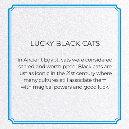LUCKY BLACK CATS: Modern deco Greeting Card