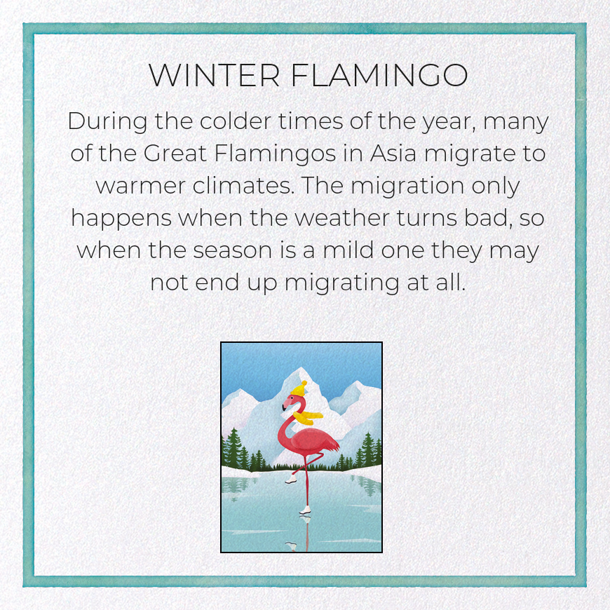 WINTER FLAMINGO: Modern deco Greeting Card