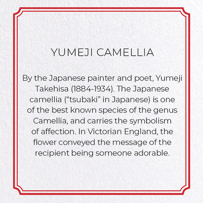 YUMEJI CAMELLIA: Pattern Greeting Card