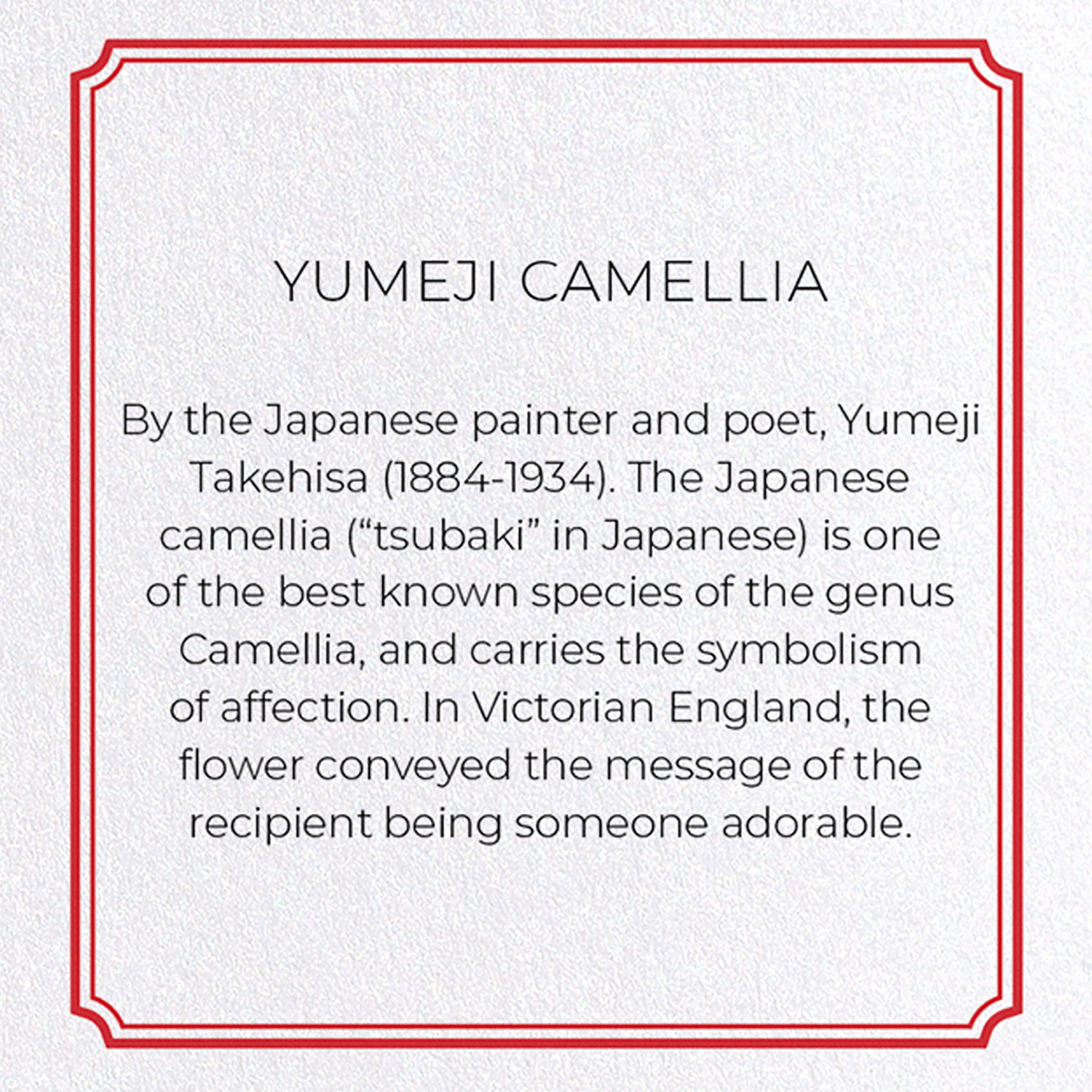 YUMEJI CAMELLIA: Pattern Greeting Card