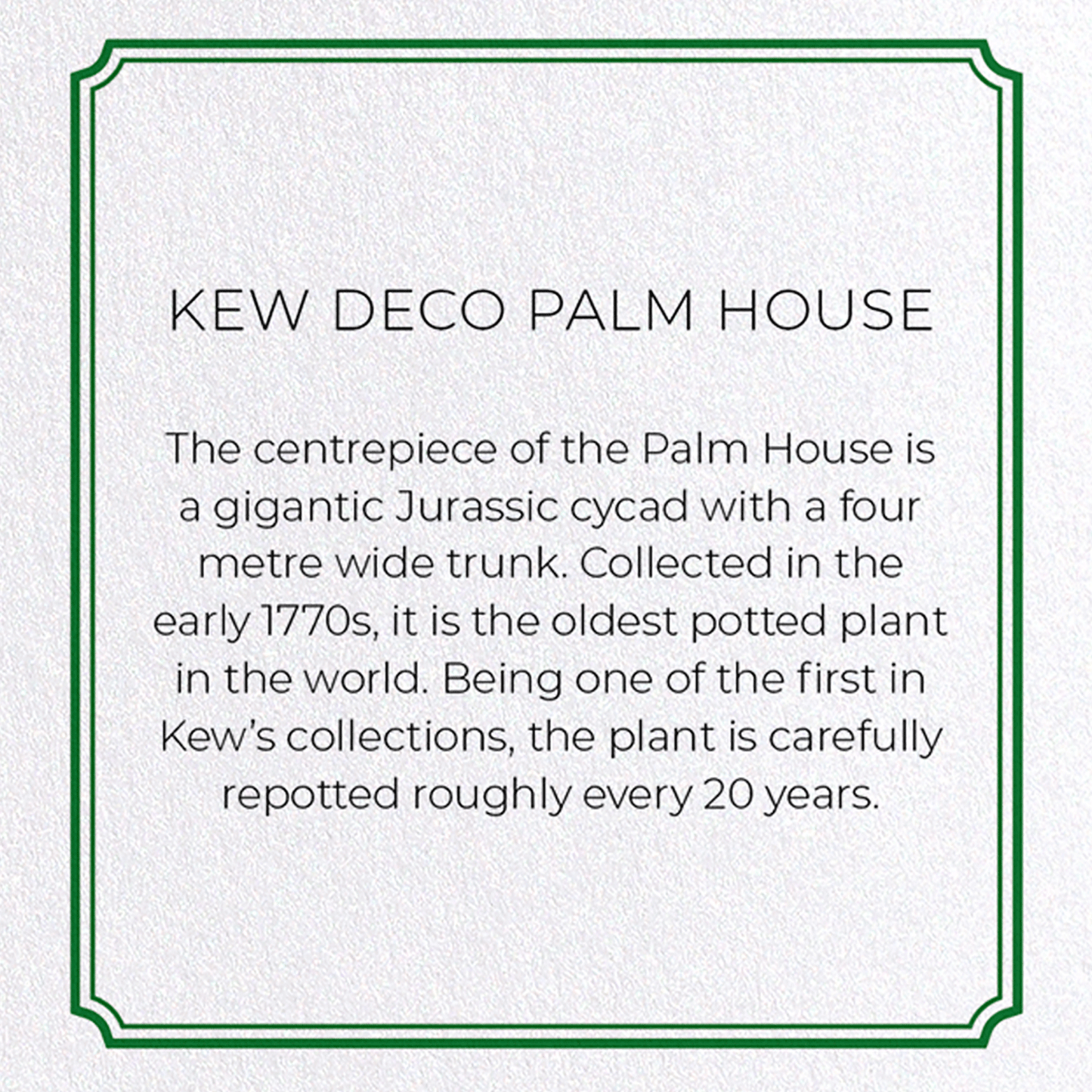 KEW DECO PALM HOUSE: Modern deco Greeting Card