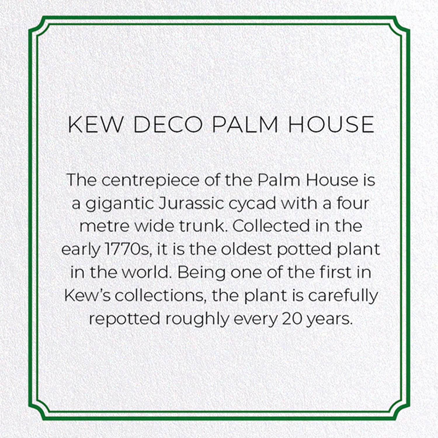 KEW DECO PALM HOUSE: Modern deco Greeting Card