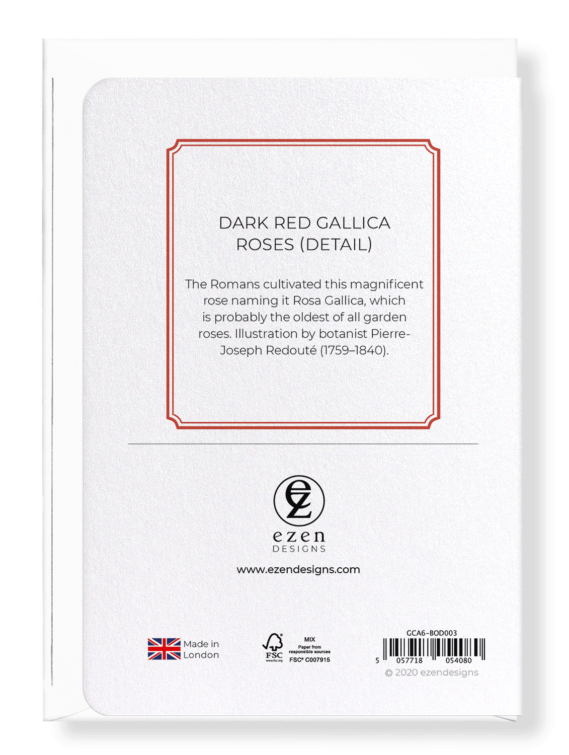 DARK RED GALLICA ROSES: Botanical Greeting Card