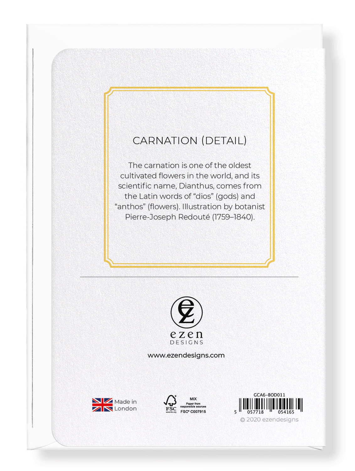CARNATION: Botanical Greeting Card