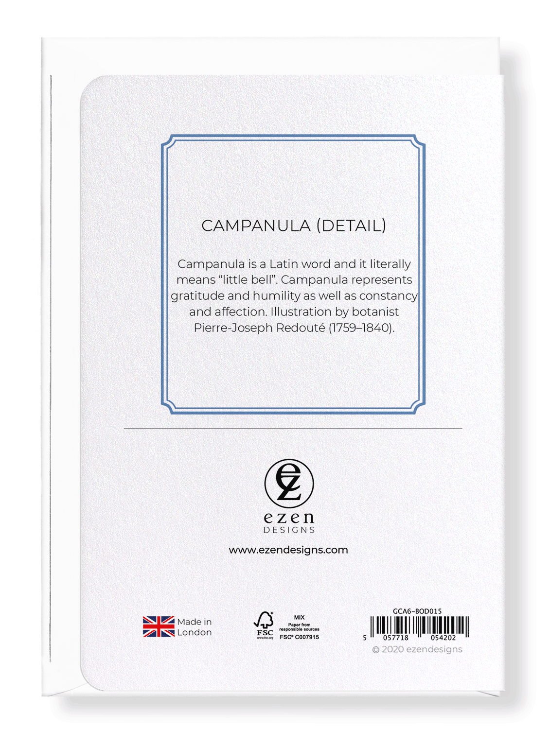 CAMPANULA: Botanical Greeting Card
