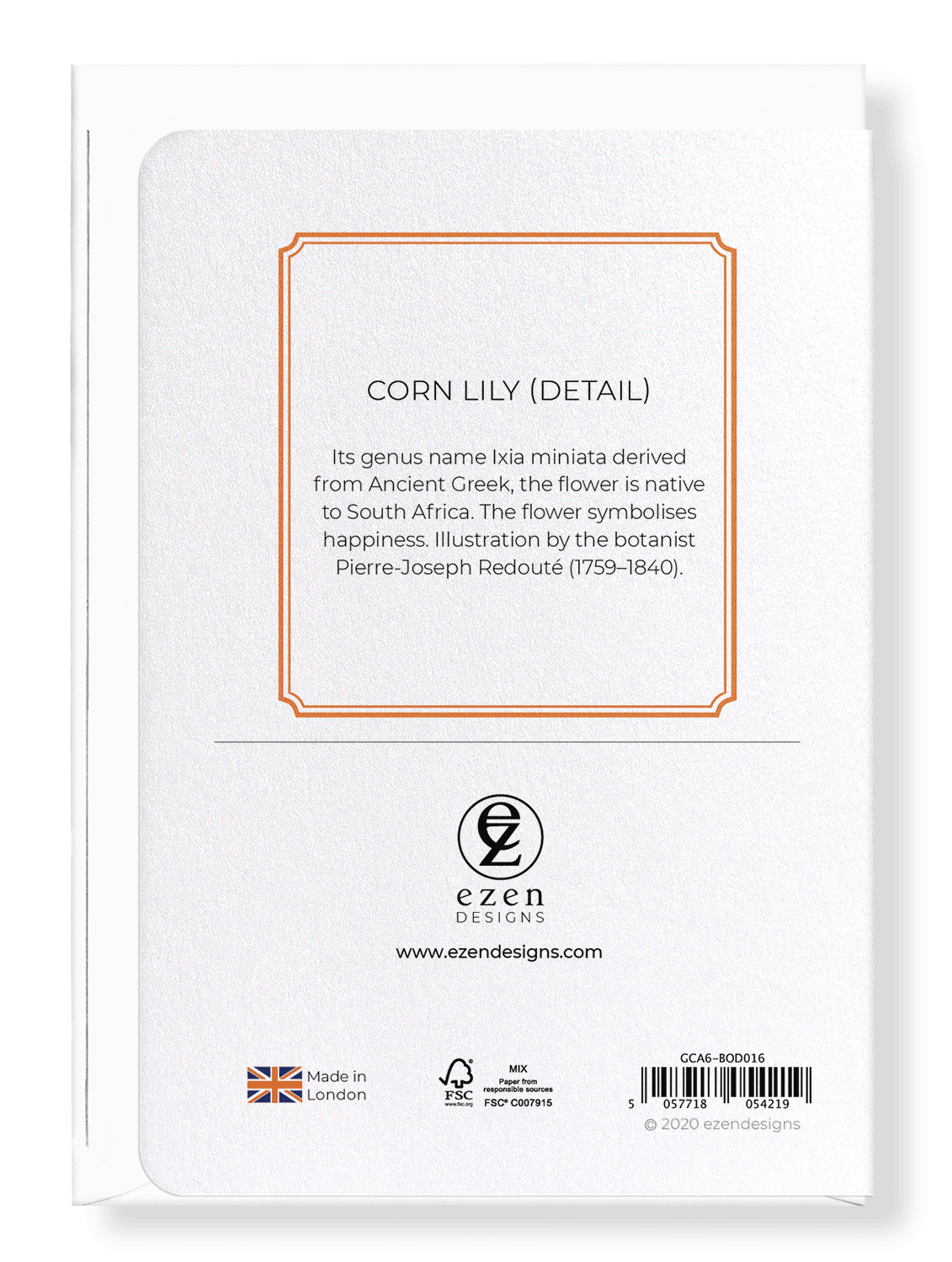 CORN LILY: Botanical Greeting Card