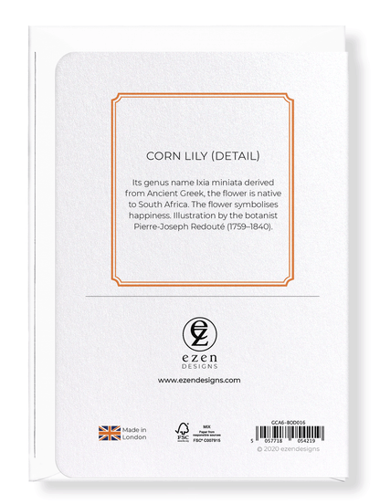 CORN LILY: Botanical Greeting Card