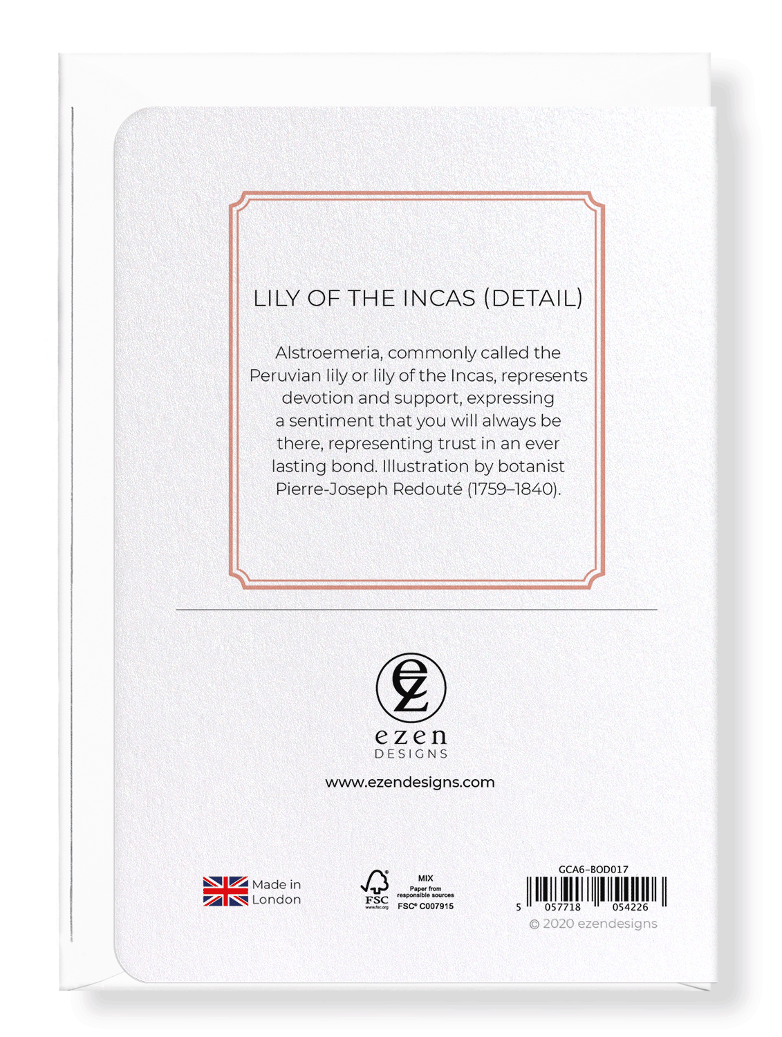 LILY OF THE INCAS: Botanical Greeting Card