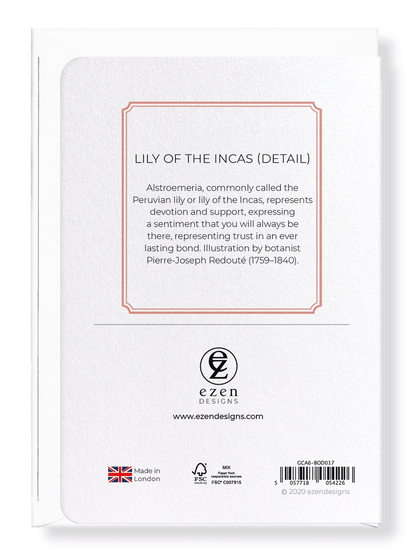 LILY OF THE INCAS: Botanical Greeting Card
