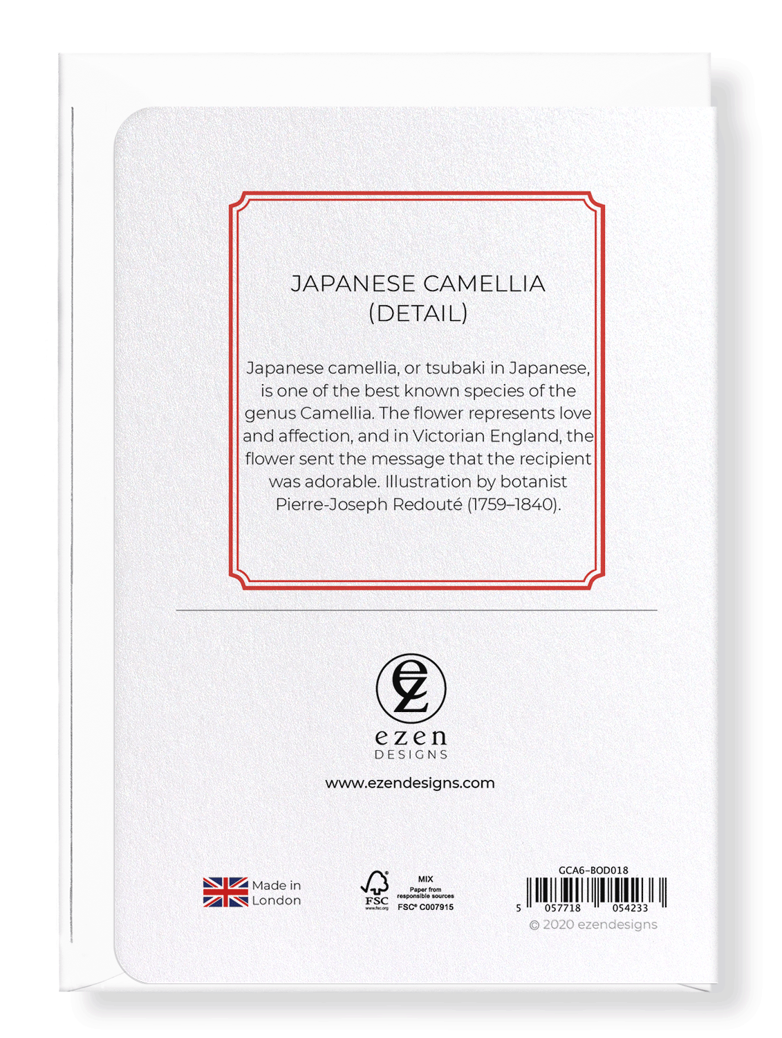 JAPANESE CAMELLIA: Botanical Greeting Card