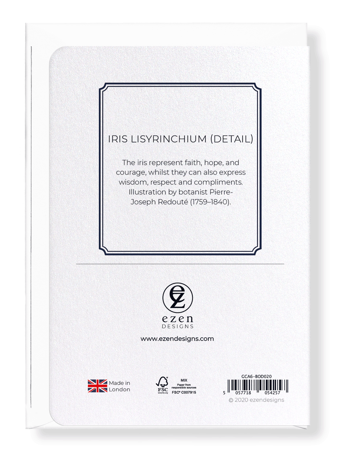 IRIS LISYRINCHIUM: Botanical Greeting Card