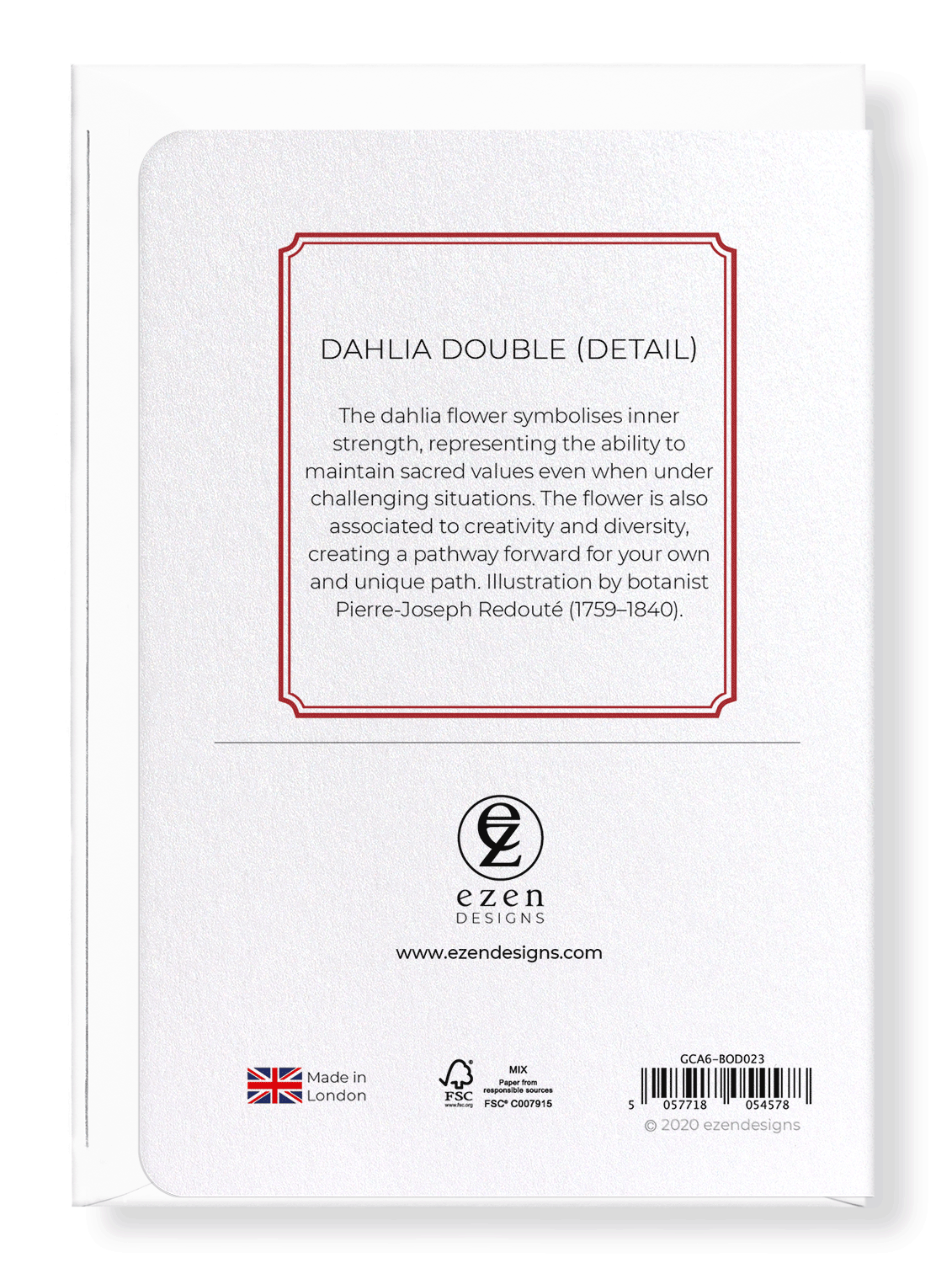 DAHLIA DOUBLE: Botanical Greeting Card