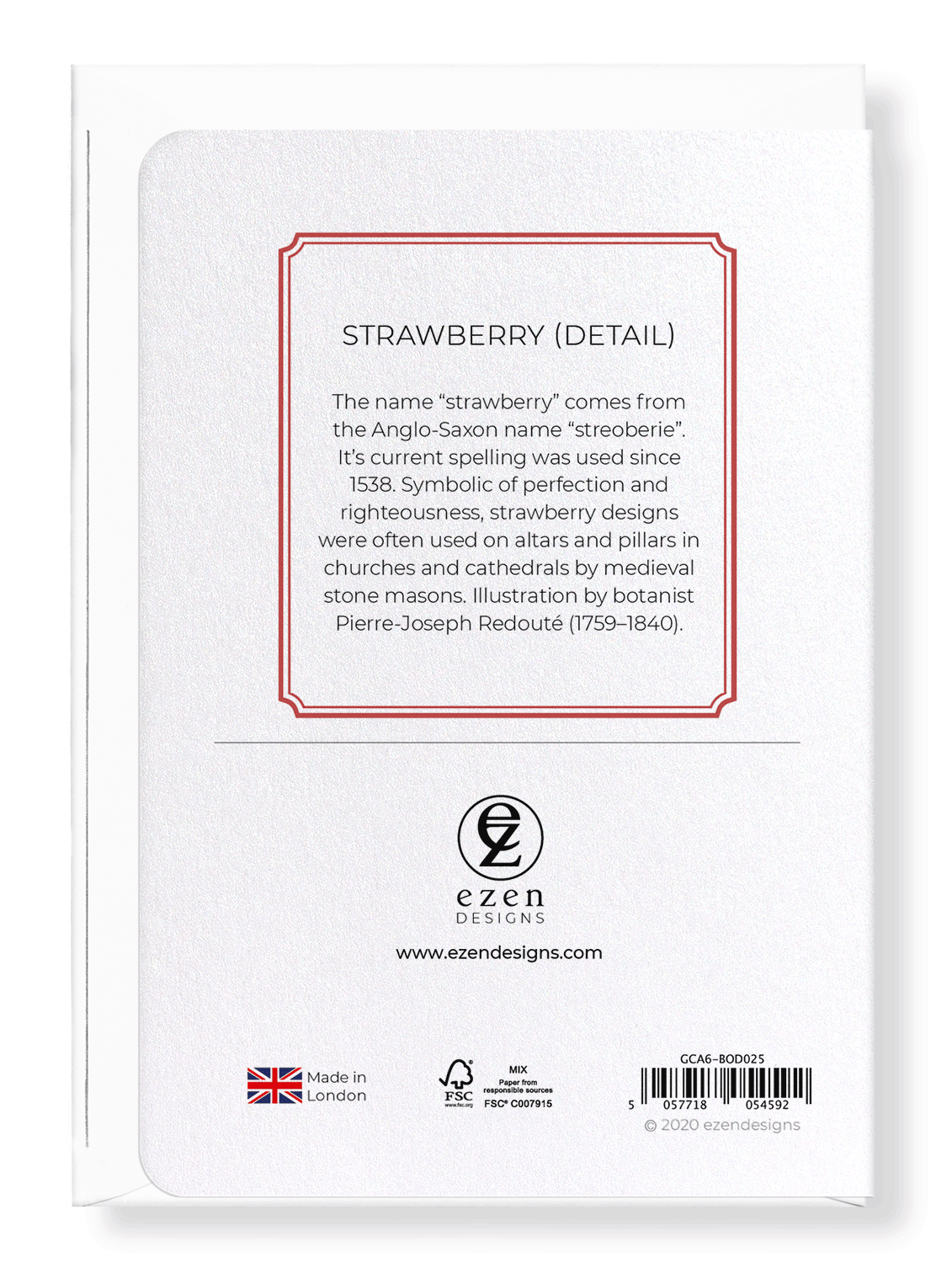 STRAWBERRY: Botanical Greeting Card