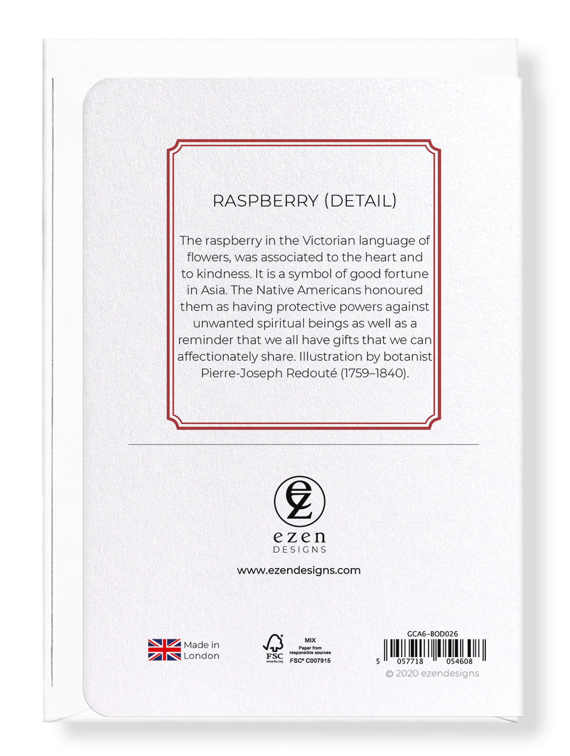 RASPBERRY: Botanical Greeting Card