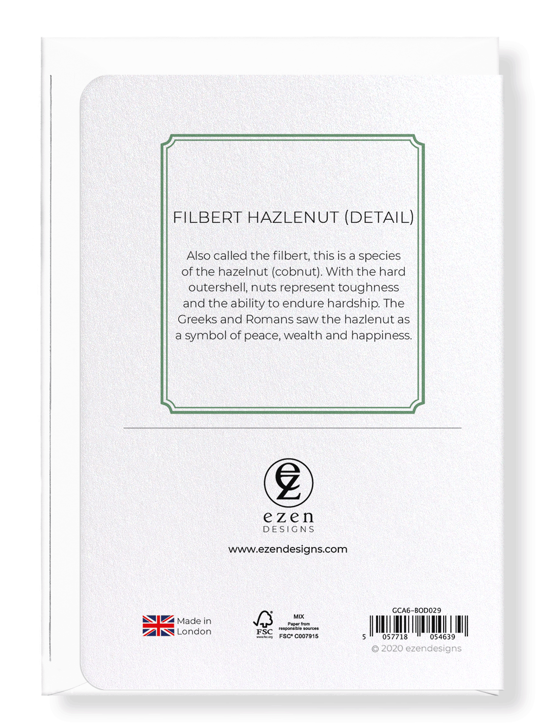 FILBERT HAZLENUT: Botanical Greeting Card