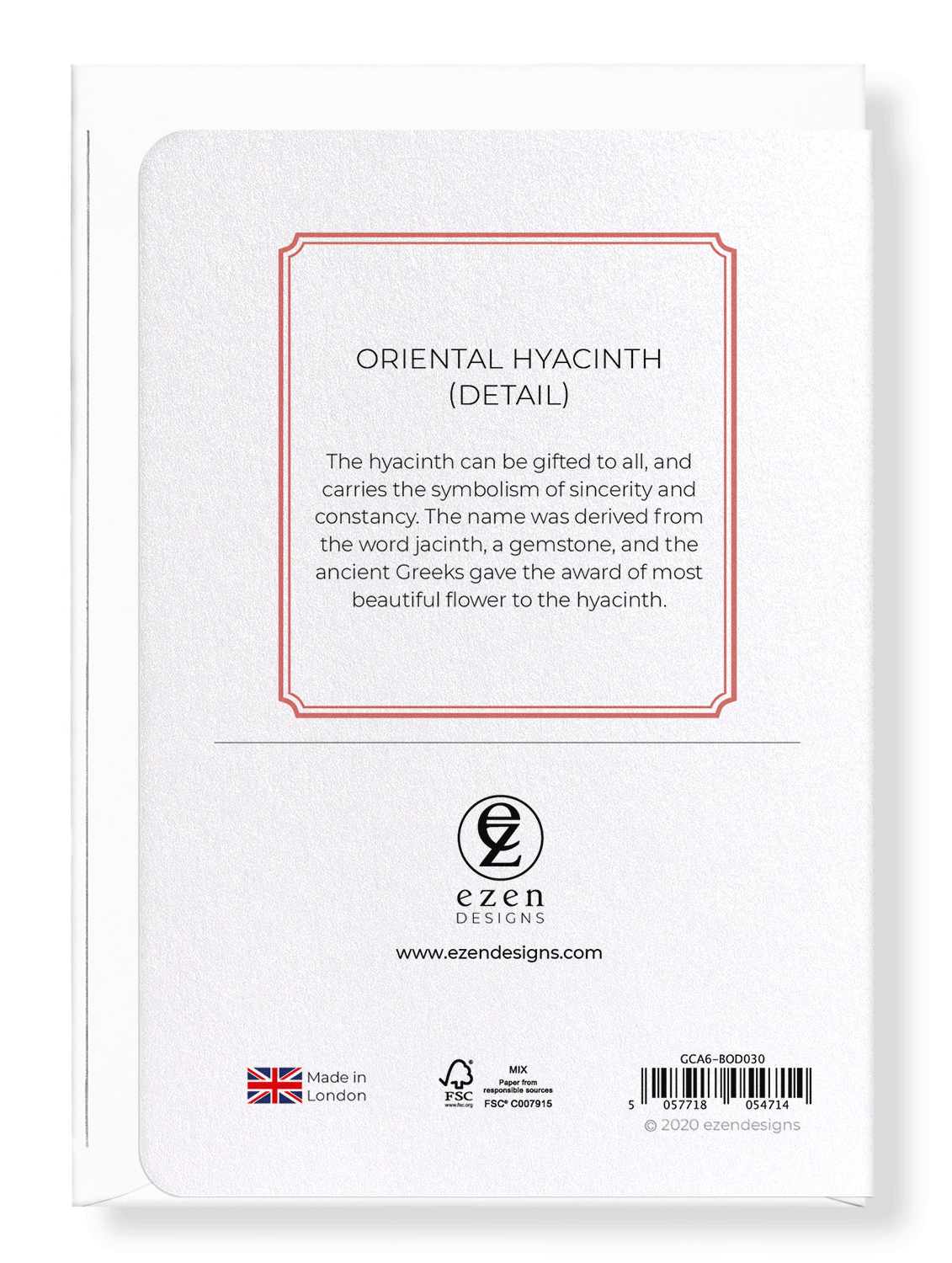 ORIENTAL HYACINTH: Botanical Greeting Card
