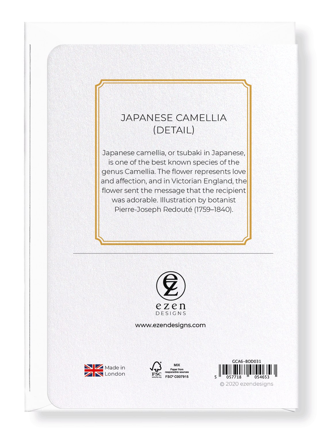 JAPANESE CAMELLIA: Botanical Greeting Card